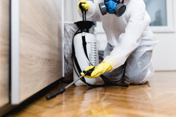 Best Emergency Pest Control  in Monticello, UT