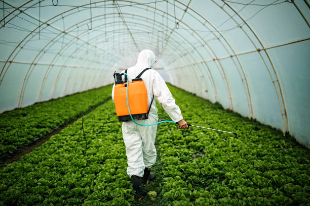 Best Residential Pest Control  in Monticello, UT