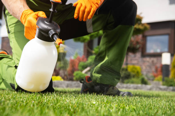 Best Wasp Removal Services  in Monticello, UT