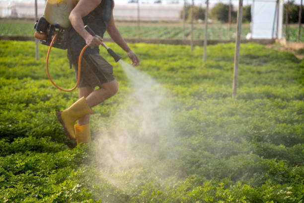 Best Pest Removal Services  in Monticello, UT