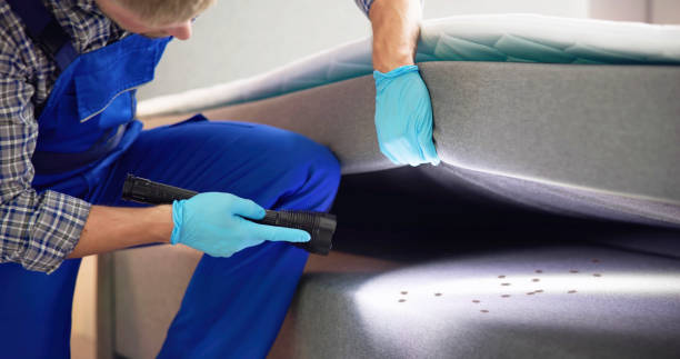 Best Rat Extermination Near Me  in Monticello, UT