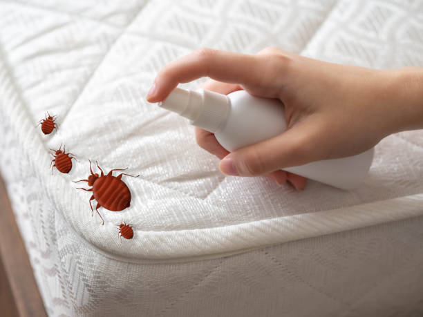 Best Bed Bug Extermination  in Monticello, UT