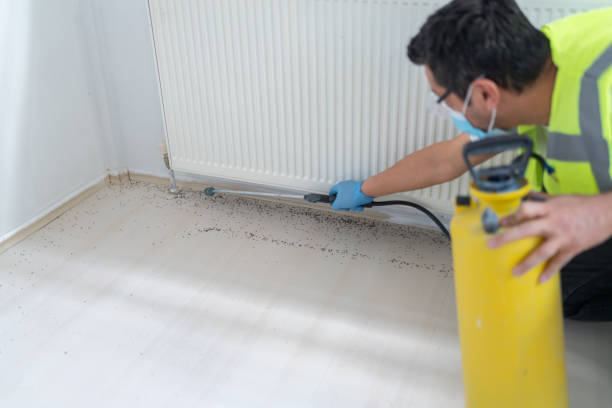 Trusted Monticello, UT Pest Control Experts