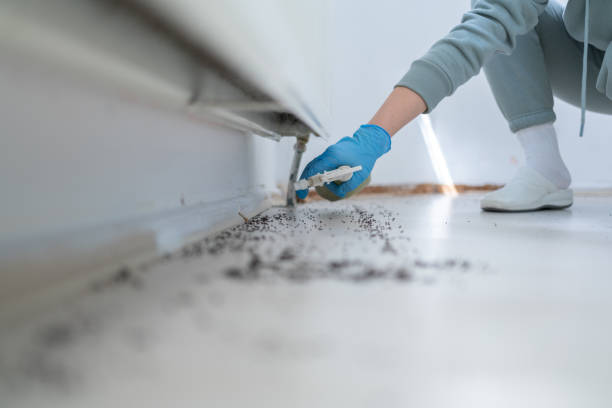 Best Termite Control Services  in Monticello, UT