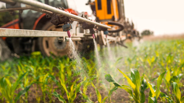 Best Wildlife Control Services  in Monticello, UT