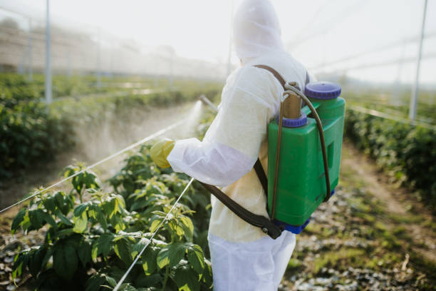 Best Wasp Removal Services  in Monticello, UT